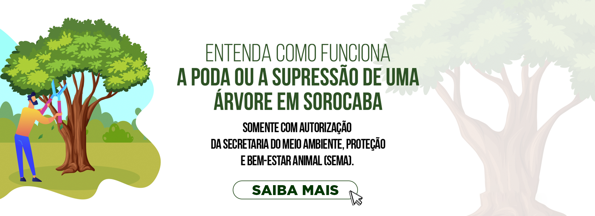 Poda de Árvore