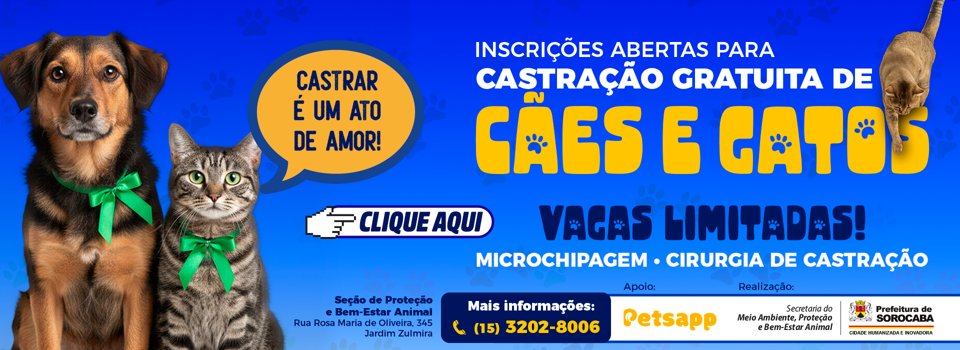 Castração de cães e gatos