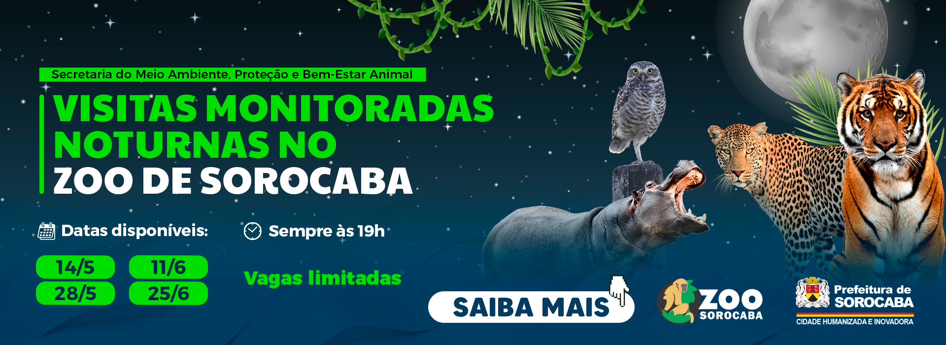 Visitas Noturnas