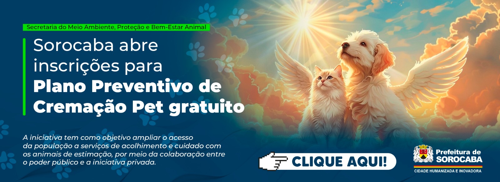 Cremação Pet